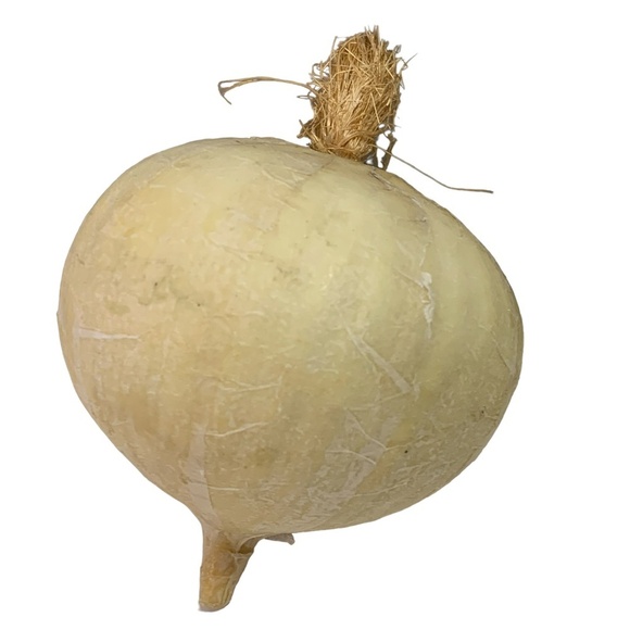 Life Size Vegetables Realistic Avocado Onion Pomegranate Veggies Farmhouse Decor - Picture 7 of 10